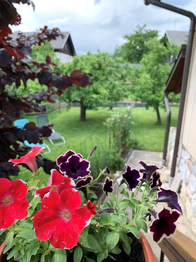 Villa House Amalia Bled Esterno foto